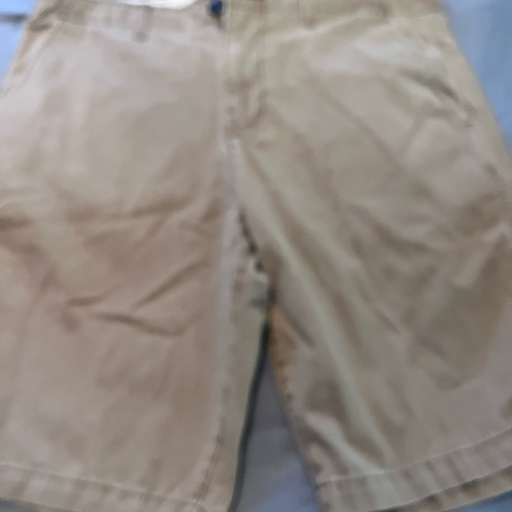 American Eagle Outfitters Men's Khaki Shorts